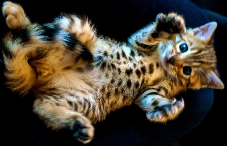 Une joueuse toujours en forme